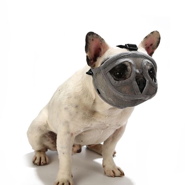 short snout pet dog muzzles comfortable adjustable breathable mesh french bulldog pug mouth muzzle mask
short snout pet dog muzzles comfortable adjustable breathable mesh french bulldog pug mouth muzzle mask