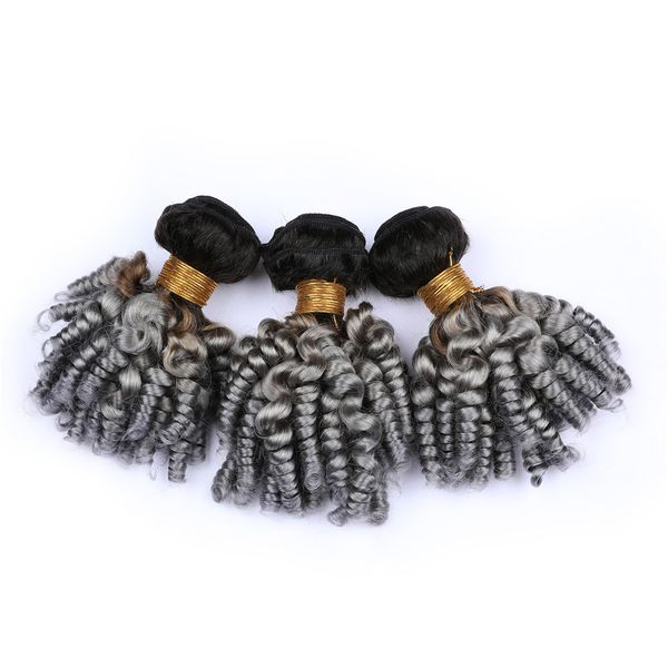 silver grey ombre virgin brazilian human hair aunty funmi bundles deals 3pcs #1b/grey dark root ombre human hair weaves curly extensions, Black
silver grey ombre virgin brazilian human hair aunty funmi bundles deals 3pcs #1b/grey dark root ombre human hair weaves curly extensions, Black