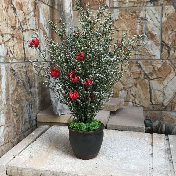 real potted plants maceta bonsai,natural fresh dried preserved lover grass with ceramic flower pot,diy flowers for home decor
real potted plants maceta bonsai,natural fresh dried preserved lover grass with ceramic flower pot,diy flowers for home decor