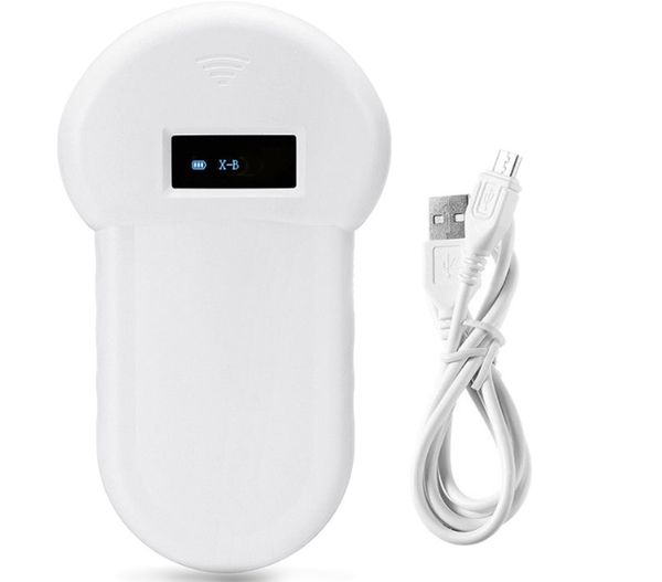 134.2khz fdx b pet rfid reader chip scanner animal microchip reader em4305 microchip syringe reader for pet identification
134.2khz fdx b pet rfid reader chip scanner animal microchip reader em4305 microchip syringe reader for pet identification
