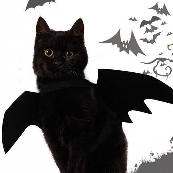 brand new halloween costume for pet black bat wings cool puppy cat black bats dress up costume pet holiday decoration wholesale
brand new halloween costume for pet black bat wings cool puppy cat black bats dress up costume pet holiday decoration wholesale