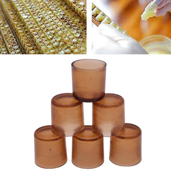 1000 pcs beekeeping queen cell brown bee feeding tools applicable to beekeepers bee queen breeding base appliance bee cages
1000 pcs beekeeping queen cell brown bee feeding tools applicable to beekeepers bee queen breeding base appliance bee cages