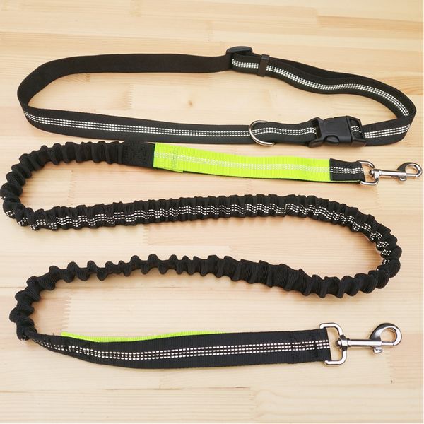 elastic nylon leashes running hand waist belt jogging leads for pet buckled rope leash
elastic nylon leashes running hand waist belt jogging leads for pet buckled rope leash