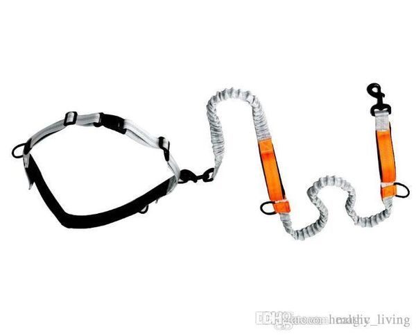 hands leash for dogs pet outdoor riding running reflective leashes walking training dog leash dhl free
hands leash for dogs pet outdoor riding running reflective leashes walking training dog leash dhl free