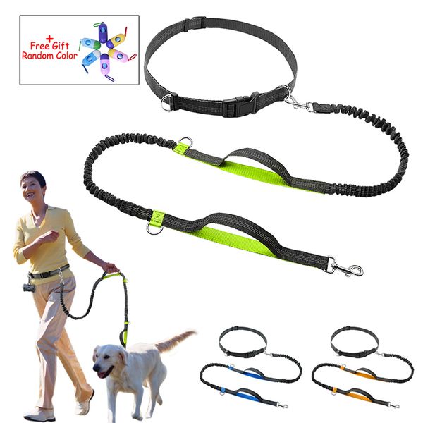 elastic waist dog leash running jogging dog sport product adjustable nylon leash with reflective strip pet accessories
elastic waist dog leash running jogging dog sport product adjustable nylon leash with reflective strip pet accessories