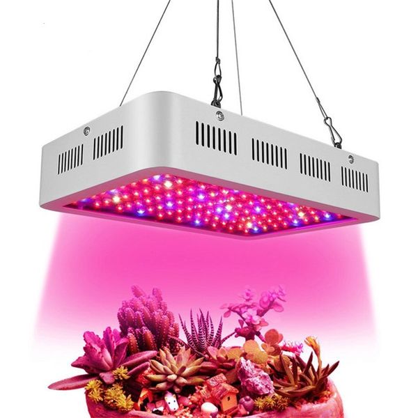 лучшие wy led светать полный спектр 600w / 1000w / 1200w phytolamp для комнатных растений семян цветка расти палатки
лучшие wy led светать полный спектр 600w / 1000w / 1200w phytolamp для комнатных растений семян цветка расти палатки