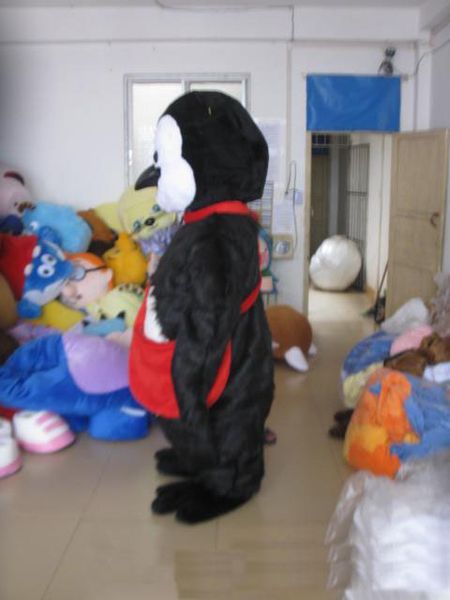 2020 factory sale new mascot black penguin mascot costume character costume mascot costume, Red;yellow
2020 factory sale new mascot black penguin mascot costume character costume mascot costume, Red;yellow