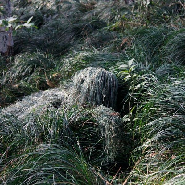 camouflage hunting clothes ghillie suits bionic yowie airsoft sniper shooting roupa camouflage 3d jacket and pants for pubg hunting sets, Camo
camouflage hunting clothes ghillie suits bionic yowie airsoft sniper shooting roupa camouflage 3d jacket and pants for pubg hunting sets, Camo