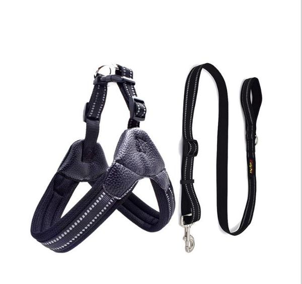 2020 new outdoor training adjustable seat belt soft vest dog pet leashes and seat belt pet supplies
2020 new outdoor training adjustable seat belt soft vest dog pet leashes and seat belt pet supplies