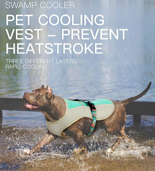 dog clothes summer pet cool clothes dog cooling vest adjustable pet mesh reflective vest quick release comfortable cooling harnessgq
dog clothes summer pet cool clothes dog cooling vest adjustable pet mesh reflective vest quick release comfortable cooling harnessgq