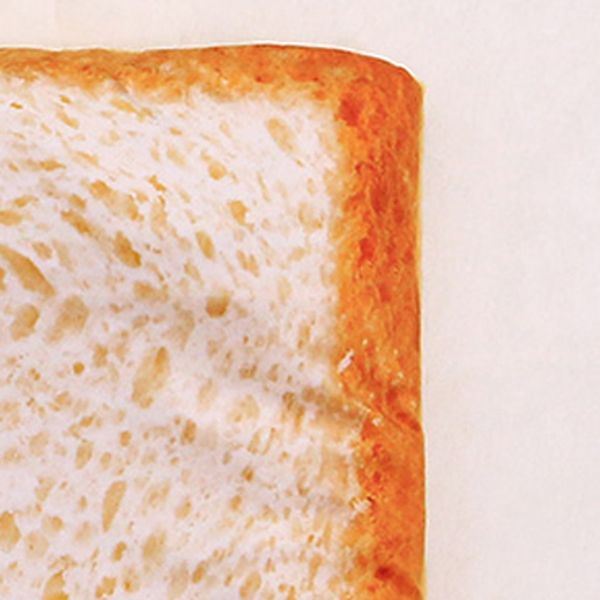 cute toast bread pet bed blankets puppy cat short plush pet mat durable warm poached eggs blanket mats for small dog and cat kennels pens
cute toast bread pet bed blankets puppy cat short plush pet mat durable warm poached eggs blanket mats for small dog and cat kennels pens