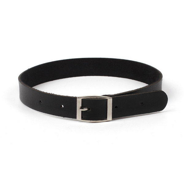 высокое качество harajuku пояса воротник choker ожерелье кожа pu choker punk goth, Silver
высокое качество harajuku пояса воротник choker ожерелье кожа pu choker punk goth, Silver