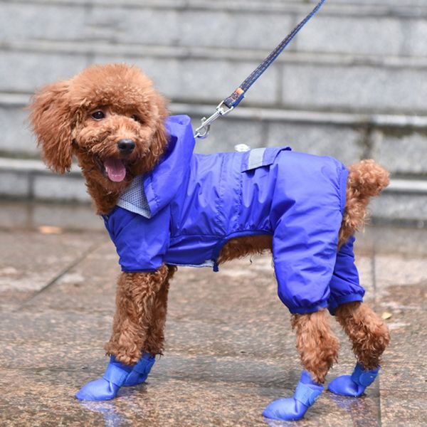 4pcs/set dog cat shoes waterproof anti-skid silicone winter rain boots footwear kitten puppy pet products supplies u
4pcs/set dog cat shoes waterproof anti-skid silicone winter rain boots footwear kitten puppy pet products supplies u