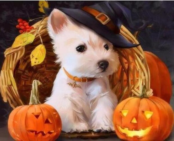 halloween dog-paint by numbers наборы для взрослых diy высокое качество холст раскраски по номерам животных art picture diy picture draw on
halloween dog-paint by numbers наборы для взрослых diy высокое качество холст раскраски по номерам животных art picture diy picture draw on