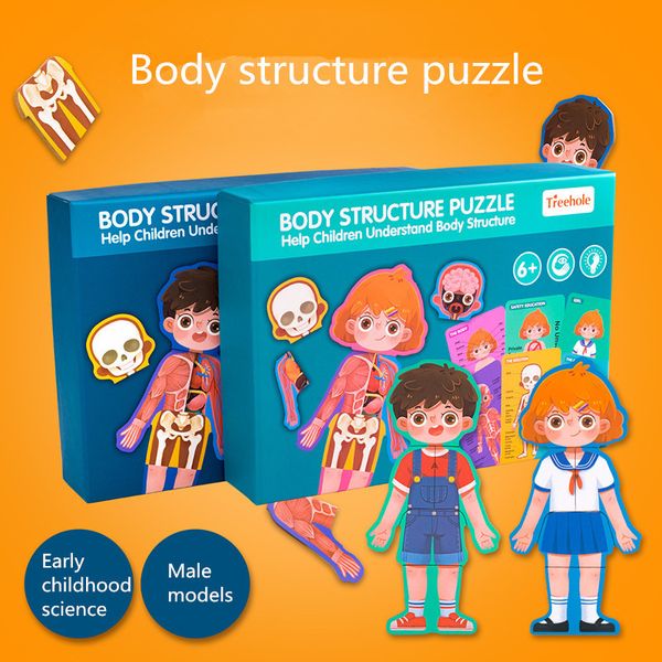 1set body structure cognition puzzle toy montessori materials educational wooden toys for children biology teaching aids toy
1set body structure cognition puzzle toy montessori materials educational wooden toys for children biology teaching aids toy