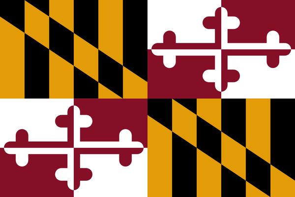 drop shipping american maryland copy state flag 3x5ft usa polyester flag banner white sleeve and two grommets
drop shipping american maryland copy state flag 3x5ft usa polyester flag banner white sleeve and two grommets