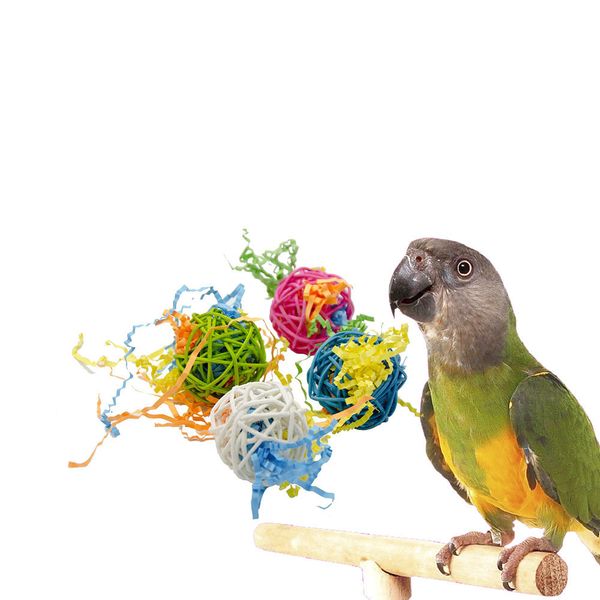 amazon small favour and put sb. in important position product sepaktakraw gnaw toys wire drawing hastily book parrot toys bird toys
amazon small favour and put sb. in important position product sepaktakraw gnaw toys wire drawing hastily book parrot toys bird toys