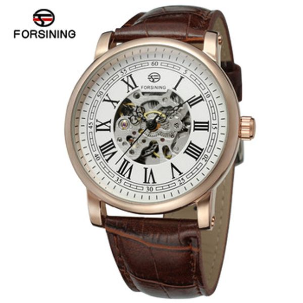forsining men's watch automatic self-wind dial casual roman numbers leather strap popular wristwatch, Slivery;brown
forsining men's watch automatic self-wind dial casual roman numbers leather strap popular wristwatch, Slivery;brown
