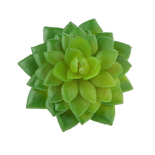 artificial succulents plant garden miniature fake flower diy home floral decor bonsai accessory
artificial succulents plant garden miniature fake flower diy home floral decor bonsai accessory