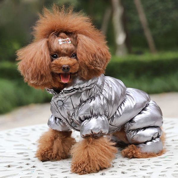 winter pet dog warm outfit coat clothes french bulldog dog clothes for small dog cotton padded jacket for chihuahua pet clothes
winter pet dog warm outfit coat clothes french bulldog dog clothes for small dog cotton padded jacket for chihuahua pet clothes