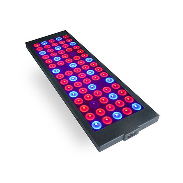 аквариум свет led grow light 40 вт ac85-265v полный спектр освещение растений для растений цветы рассада выращивание
аквариум свет led grow light 40 вт ac85-265v полный спектр освещение растений для растений цветы рассада выращивание