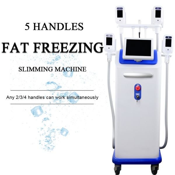 Cryolipolysis Weight Loss Fat E Slimming Machine Home Device Body Slimming System Fast Slim System 5 Cyro Handles Skin Lift Machine