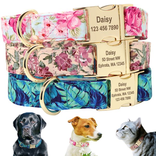 personalized collar pet puppy nameplate collar custom nylon engraved cat and dog id collar adjustable for medium-sized large dogs
personalized collar pet puppy nameplate collar custom nylon engraved cat and dog id collar adjustable for medium-sized large dogs