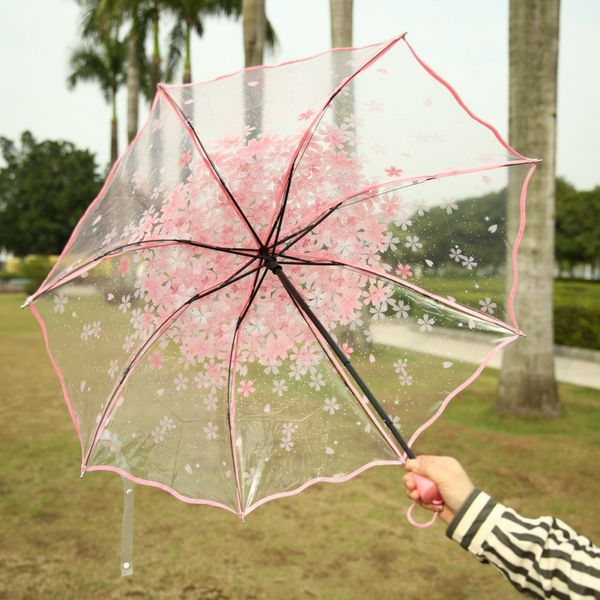 supply clear transparent umbrella classic cherry sakura women's umbrella rain romantic folding flower
supply clear transparent umbrella classic cherry sakura women's umbrella rain romantic folding flower