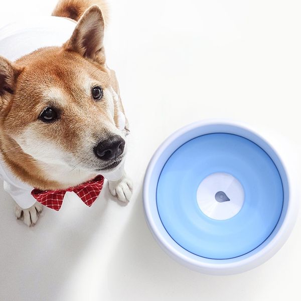 floating water bowl not wet mouth bowl splash-proof drinking water bowl pet drinker dust-proof safe drinker other cat supplies
floating water bowl not wet mouth bowl splash-proof drinking water bowl pet drinker dust-proof safe drinker other cat supplies