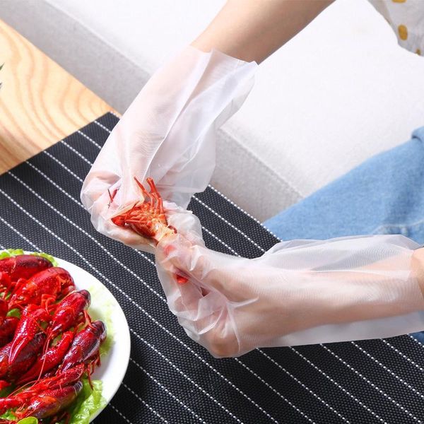 100pcs box- 200pcs disposable glove multifuction transparent thin gloves waterproof for housework clean kitchen baking gloves
100pcs box- 200pcs disposable glove multifuction transparent thin gloves waterproof for housework clean kitchen baking gloves