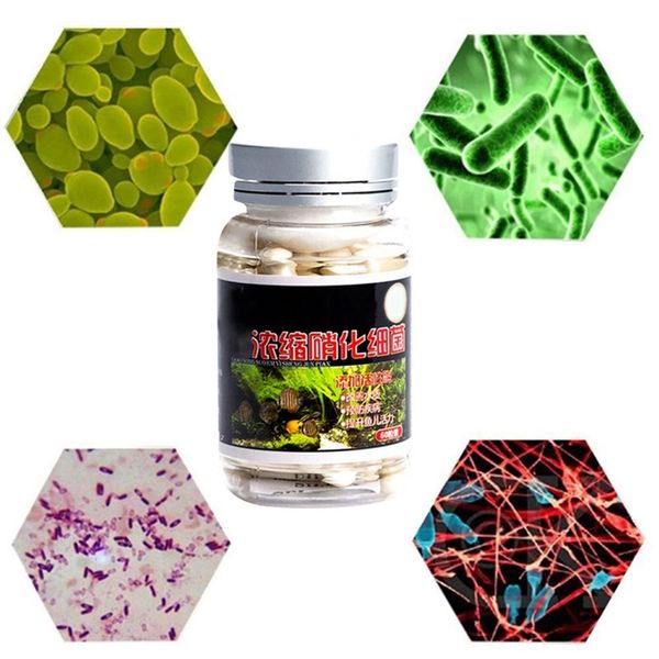 аквариум nitrobacteria капсула для 60pcs обработки воды bio-nitrobacteria capsule fish tank пруд для очистки воды подает
аквариум nitrobacteria капсула для 60pcs обработки воды bio-nitrobacteria capsule fish tank пруд для очистки воды подает