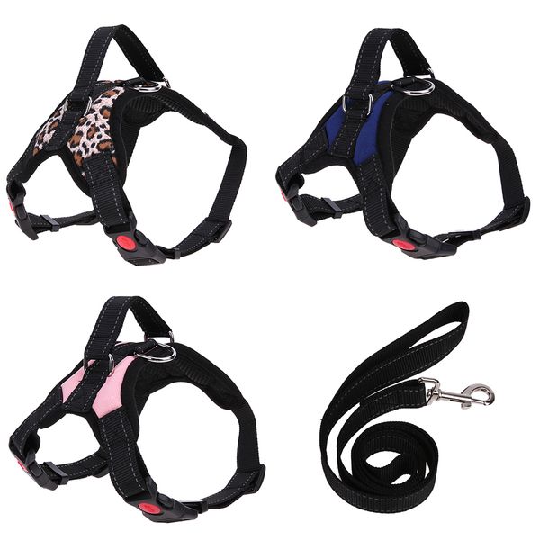 мягкая замшевая кожаная маленькая собачья упряжь для щенков чихуахуа yorkie розовый синий регулируемый сундук для всех сезонов 3 стиля
мягкая замшевая кожаная маленькая собачья упряжь для щенков чихуахуа yorkie розовый синий регулируемый сундук для всех сезонов 3 стиля