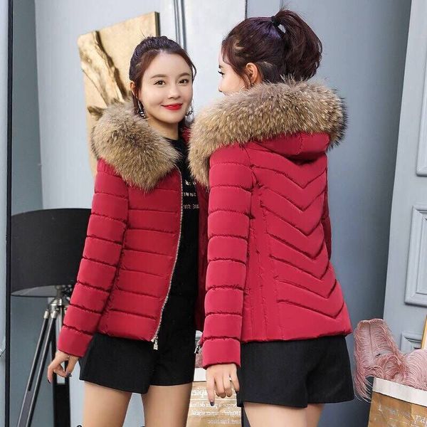 wholesale fashion winter new cotton coat women's short section slim jacket large fur collar down jacket, Black
wholesale fashion winter new cotton coat women's short section slim jacket large fur collar down jacket, Black