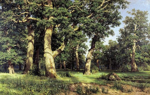 ivan shishkin oak grove home wall art decor handpainted &hd print on canvas wall art canvas pictures 190906
ivan shishkin oak grove home wall art decor handpainted &hd print on canvas wall art canvas pictures 190906