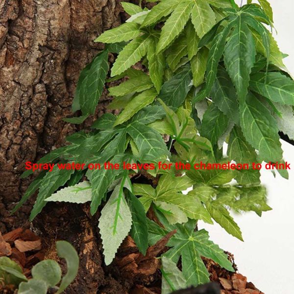 12-дюймовый искусственный vine поддельные сымитированный завод diy украшение с присоской для reptile fish tank декоративные зоотоваров висяч
12-дюймовый искусственный vine поддельные сымитированный завод diy украшение с присоской для reptile fish tank декоративные зоотоваров висяч