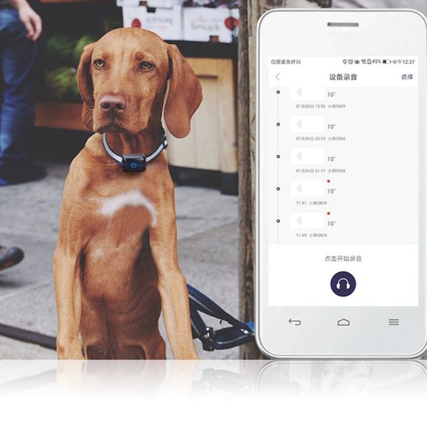 новые pet gps locator водонепроницаемый anti-потерянный в режиме реального времени отслеживание postioning ошейник для собак кошки lxy9 ap16
новые pet gps locator водонепроницаемый anti-потерянный в режиме реального времени отслеживание postioning ошейник для собак кошки lxy9 ap16
