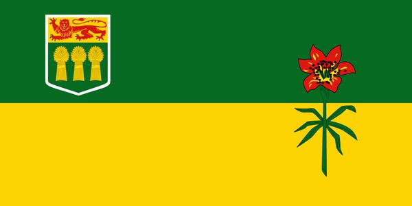 90cmx150cm polyester canada flag saskatchewan province flags 3*5 feet large canadian alberta flag banner for indoor and outdoor
90cmx150cm polyester canada flag saskatchewan province flags 3*5 feet large canadian alberta flag banner for indoor and outdoor