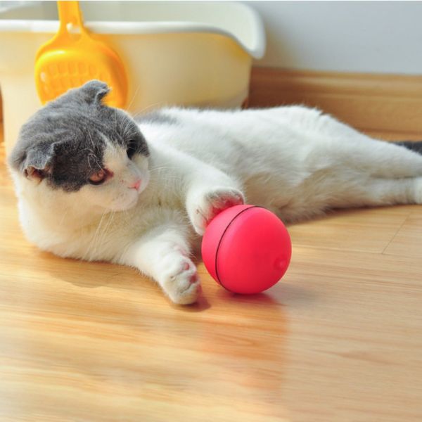 automotive light toy for pets cat ball usb rechargeable with detachable 360 degree cat toys
automotive light toy for pets cat ball usb rechargeable with detachable 360 degree cat toys