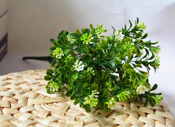 simulation water grass 7 fork milan grass home decoration vase decoration artificial flower simulation plant plastic flower
simulation water grass 7 fork milan grass home decoration vase decoration artificial flower simulation plant plastic flower