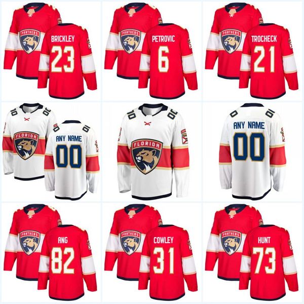 70 Riley Stillman Florida Panthers Custom Jerseys 6 Alex Petrovic 13 Mark Pysyk 1 Roberto Luongo 34 James Reimer Hockey Jerseys
70 Riley Stillman Florida Panthers Custom Jerseys 6 Alex Petrovic 13 Mark Pysyk 1 Roberto Luongo 34 James Reimer Hockey Jerseys