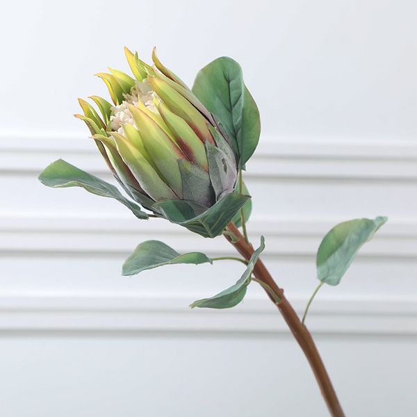 artificial protea barbighera 68cm dark red/pink/green/white 4 color choose
artificial protea barbighera 68cm dark red/pink/green/white 4 color choose