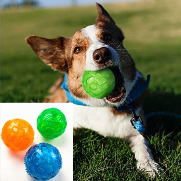 3pcs/set pet ball toy sweet gift pet dog cat food squeaky squeaker quack sound toy chew fun ball ing
3pcs/set pet ball toy sweet gift pet dog cat food squeaky squeaker quack sound toy chew fun ball ing