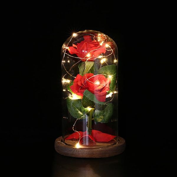 wooden base copper wire energy saving night lights glass dome 20led 2 artificial flowers usb powered string lamps
wooden base copper wire energy saving night lights glass dome 20led 2 artificial flowers usb powered string lamps