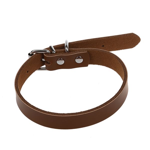 топ-кожаный воротник регулируемый для собак pet brown m ошейники для собак поводки
топ-кожаный воротник регулируемый для собак pet brown m ошейники для собак поводки