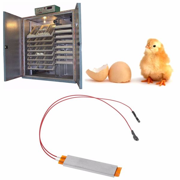 heating incubator heater element plate for egg incubator accessories 110v 220v other pet supplies
heating incubator heater element plate for egg incubator accessories 110v 220v other pet supplies