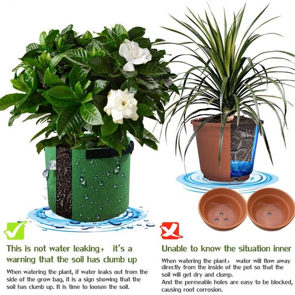 5 gallon plant grow bag vegetable flower pot planter diy potato garden pot plant eco-friendly grow bag non woven fabric pouch indoor
5 gallon plant grow bag vegetable flower pot planter diy potato garden pot plant eco-friendly grow bag non woven fabric pouch indoor