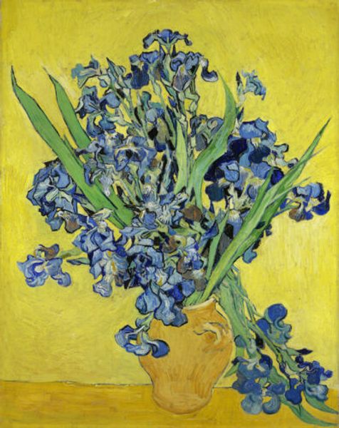 vincent van gogh oil painting on canvas impressionist beautiful irises home decor handcrafts /hd print wall art canvas pictures 191029
vincent van gogh oil painting on canvas impressionist beautiful irises home decor handcrafts /hd print wall art canvas pictures 191029