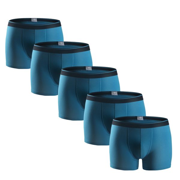 arno mens 5pcs\lot underwear cotton men's underwear sky blue boxer, Black;white
arno mens 5pcs\lot underwear cotton men's underwear sky blue boxer, Black;white