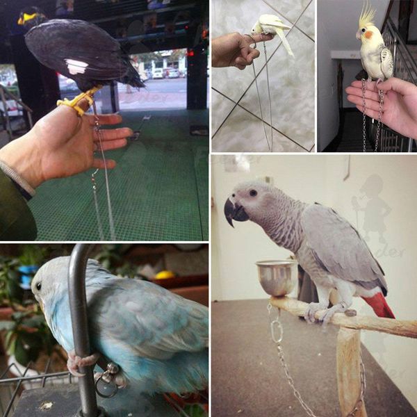 птица попугай из нержавеющей стали для ног кольца цепи открытие активность кольцо для lovebird cockatiel какаду попугай птица стенд ножного
птица попугай из нержавеющей стали для ног кольца цепи открытие активность кольцо для lovebird cockatiel какаду попугай птица стенд ножного