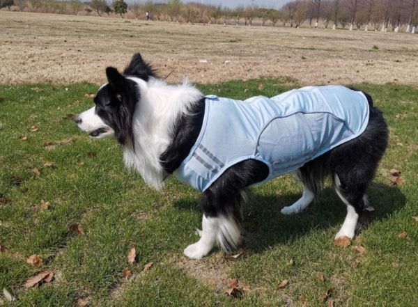 new spring/summer thin dog clothing reflective anti-wool sunscreen breathable mesh pet clothing pet clothing 3 colors
new spring/summer thin dog clothing reflective anti-wool sunscreen breathable mesh pet clothing pet clothing 3 colors